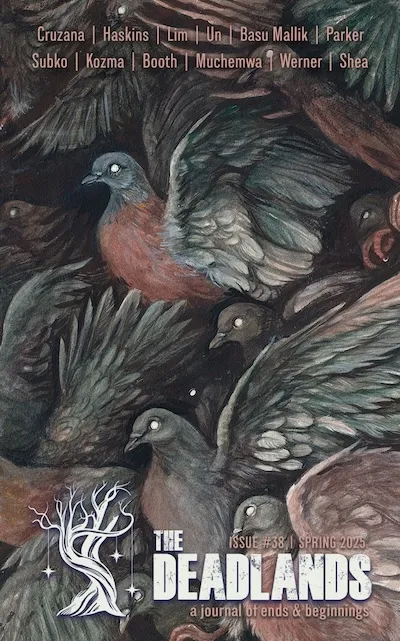 Cover image of Deadlands 38. Several rows of spooky dead-eyed birds with reddish chests and dark wing feathers.